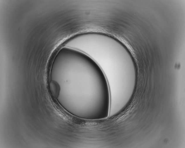 X0000096380391200801241008