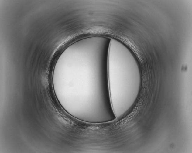 X0000096380392200801241008