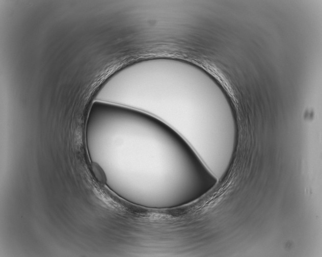 X0000096380393200801241008