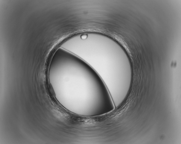 X0000096380395200801241008