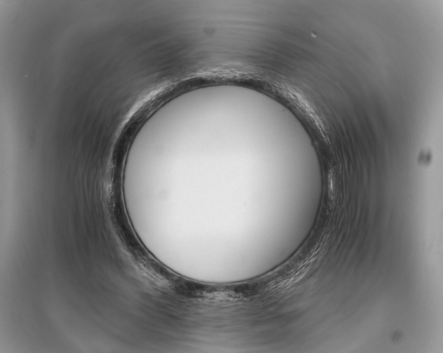 X0000096380396200801241008