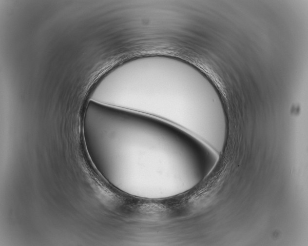 X0000096380397200801241008
