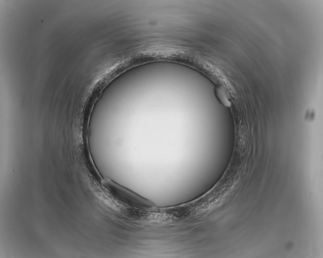 X0000096380399200801241008