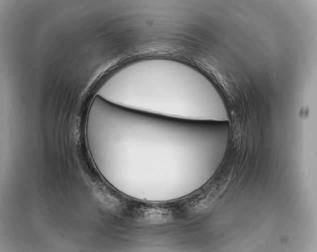 X0000096380400200801241008