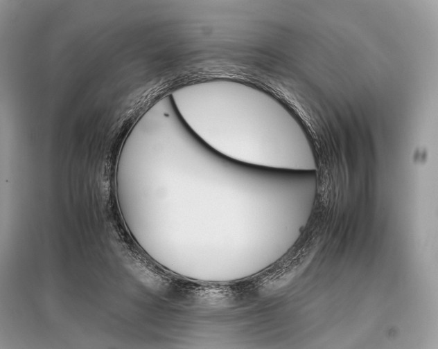 X0000096380402200801241008