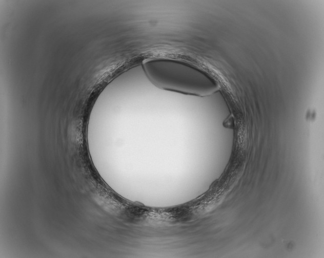 X0000096380403200801241008