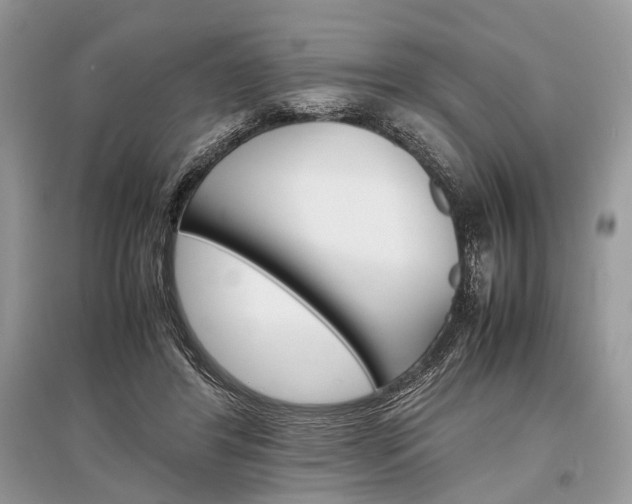 X0000096380404200801241008