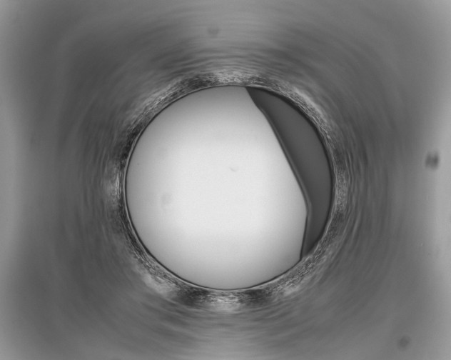 X0000096380405200801241008