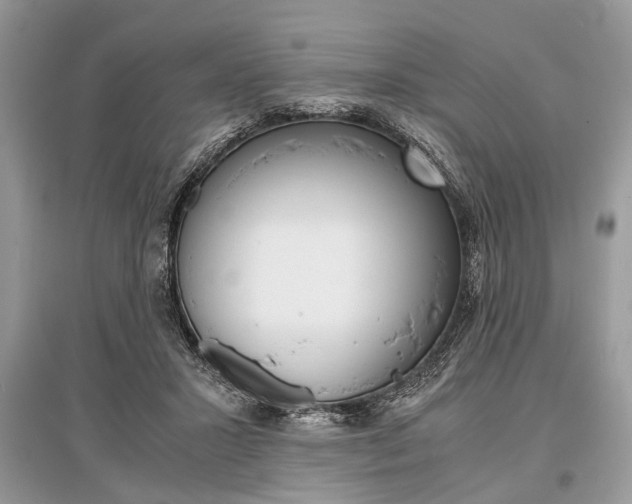 X0000096380407200801241008