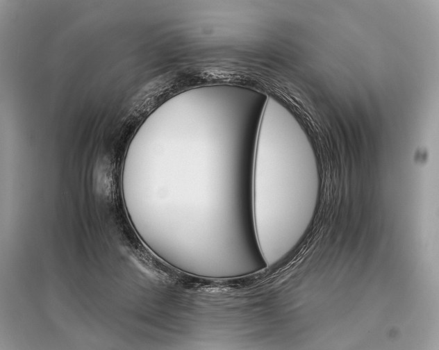 X0000096380408200801241008