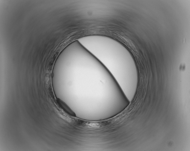 X0000096380409200801241008