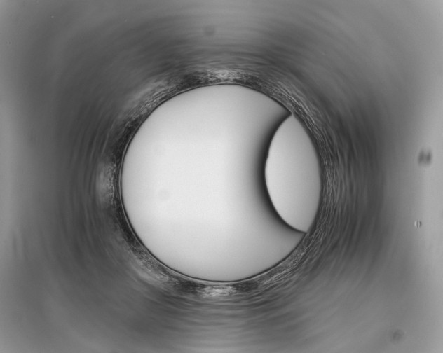 X0000096380410200801241008