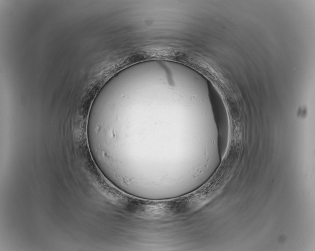X0000096380411200801241008