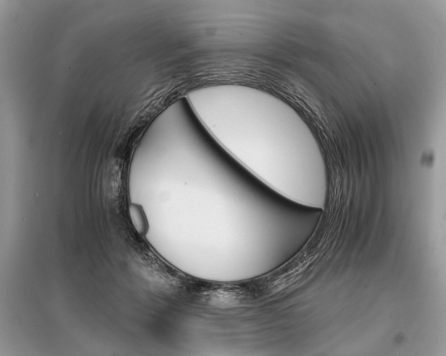 X0000096380412200801241008