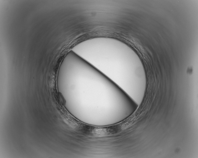 X0000096380413200801241008