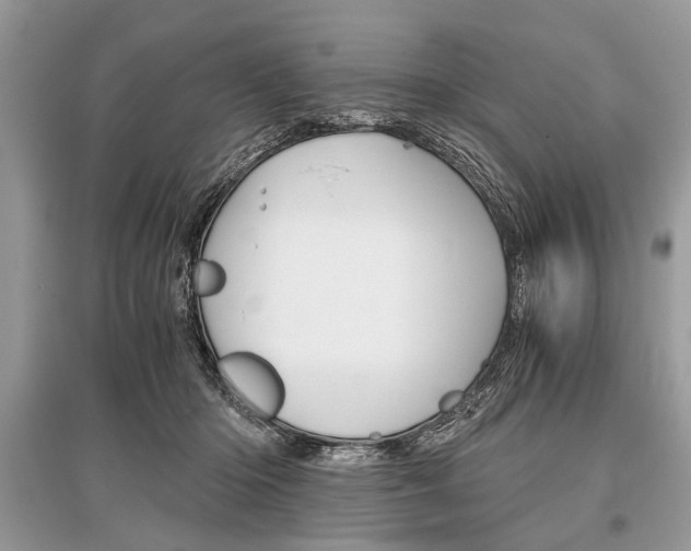 X0000096380414200801241008