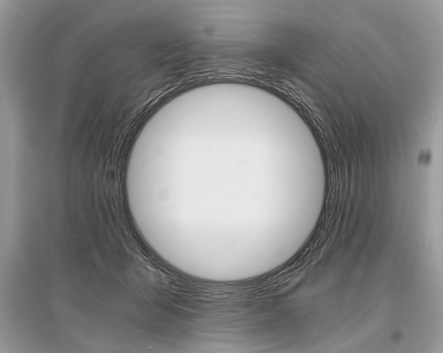 X0000096380415200801241008