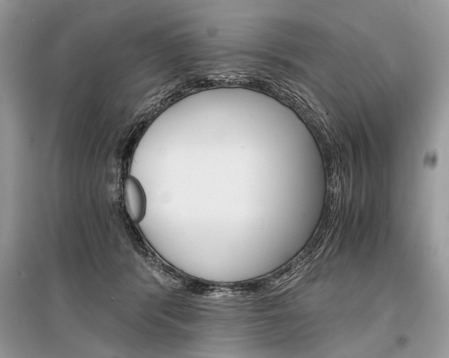 X0000096380416200801241008