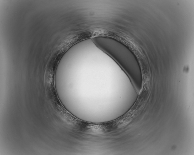 X0000096380417200801241008