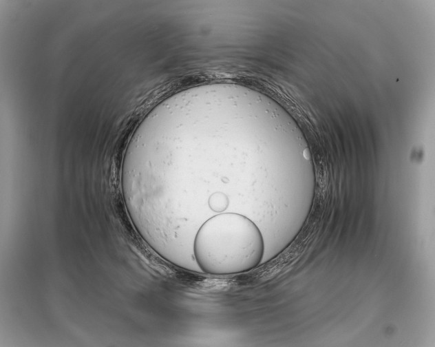 X0000096380418200801241008