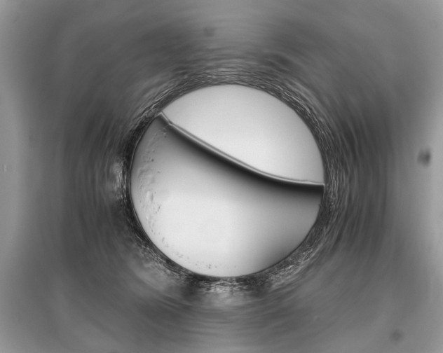 X0000096380420200801241008