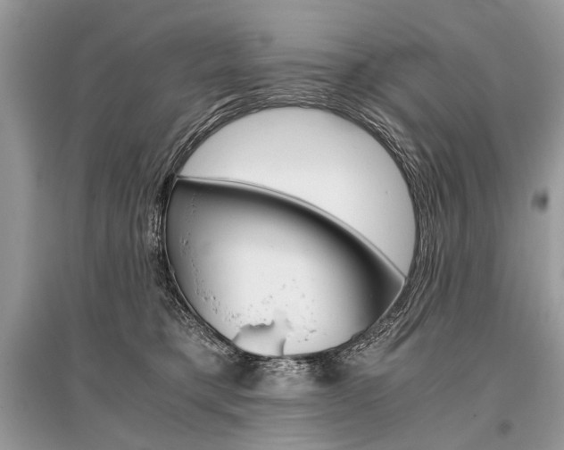 X0000096380421200801241008