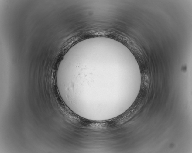 X0000096380422200801241008