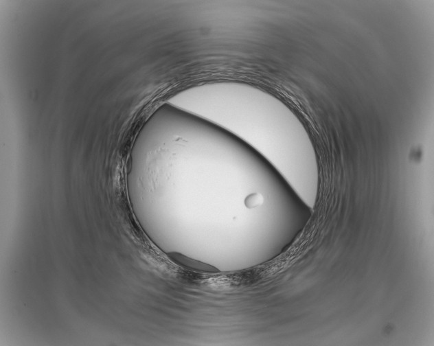 X0000096380423200801241008