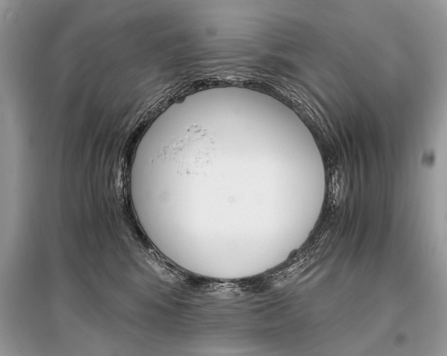 X0000096380424200801241008