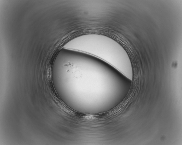 X0000096380425200801241008