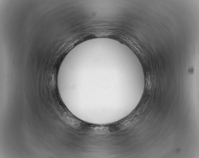 X0000096380426200801241008