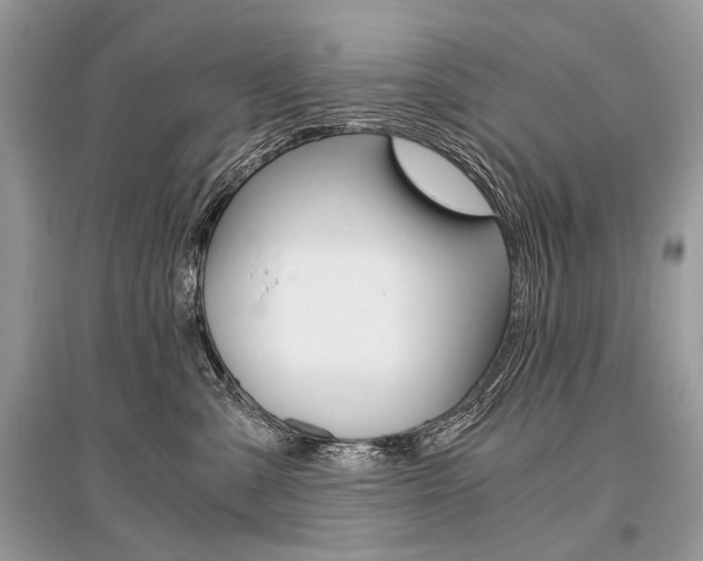 X0000096380427200801241008
