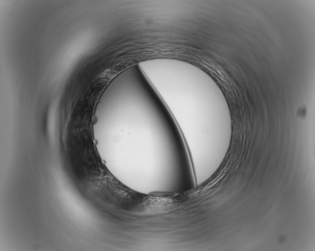 X0000096380429200801241008