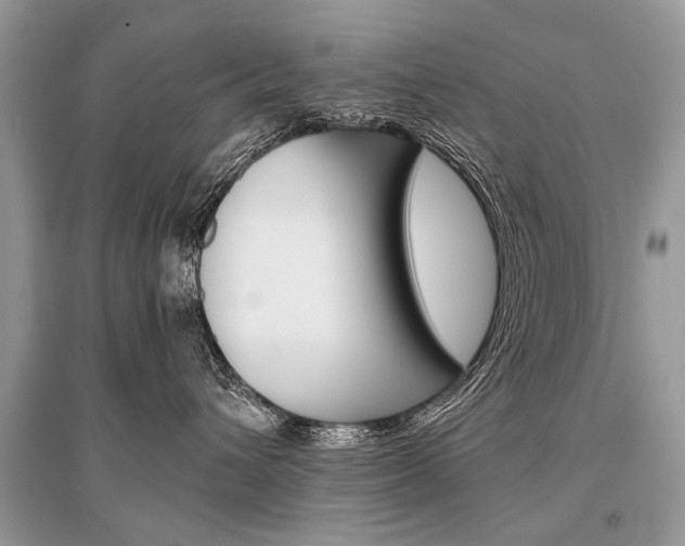 X0000096380432200801241008
