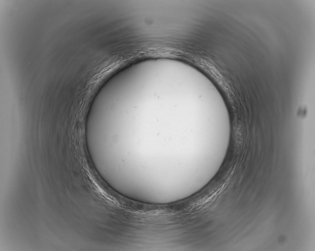 X0000096380433200801241007