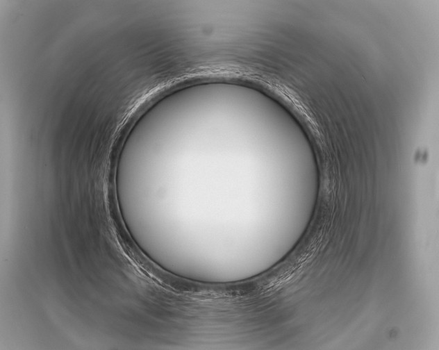 X0000096380434200801241007