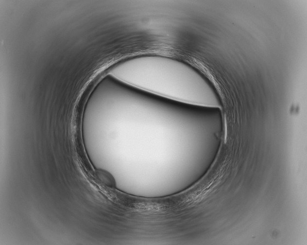X0000096380435200801241007