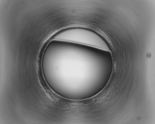 X0000096380436200801241007