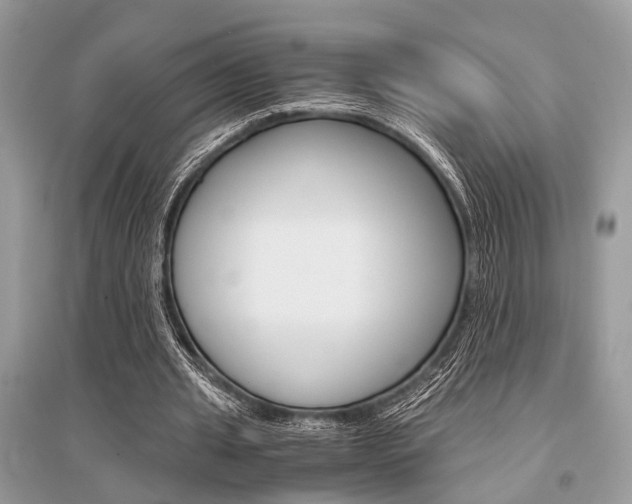 X0000096380437200801241007