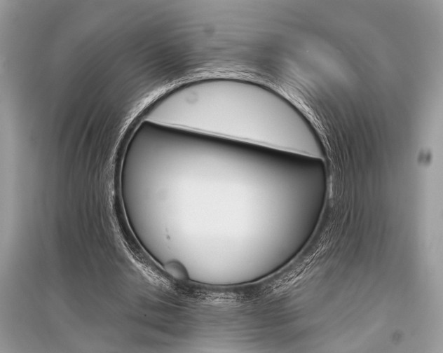 X0000096380438200801241007