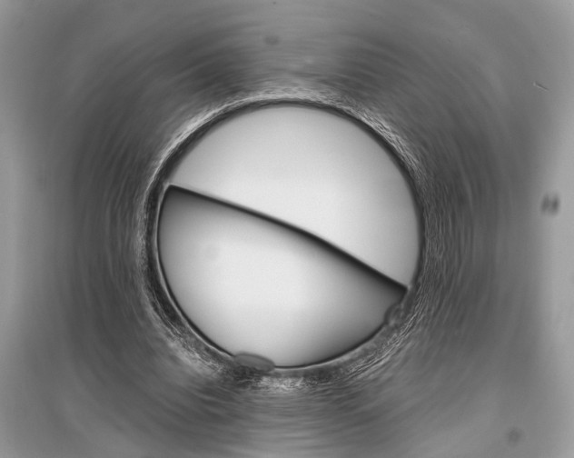 X0000096380440200801241007