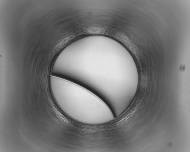 X0000096380441200801241007