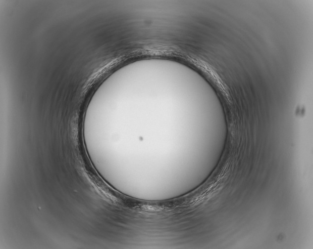 X0000096380442200801241007
