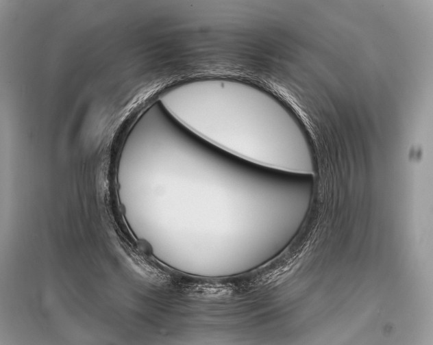 X0000096380443200801241007