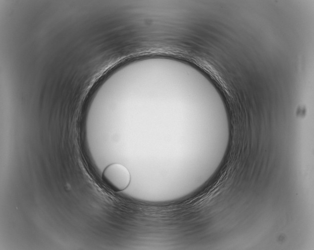 X0000096380444200801241007