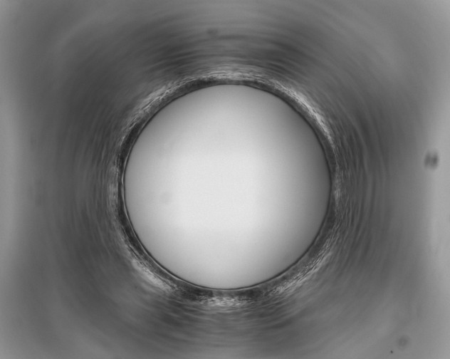 X0000096380445200801241007