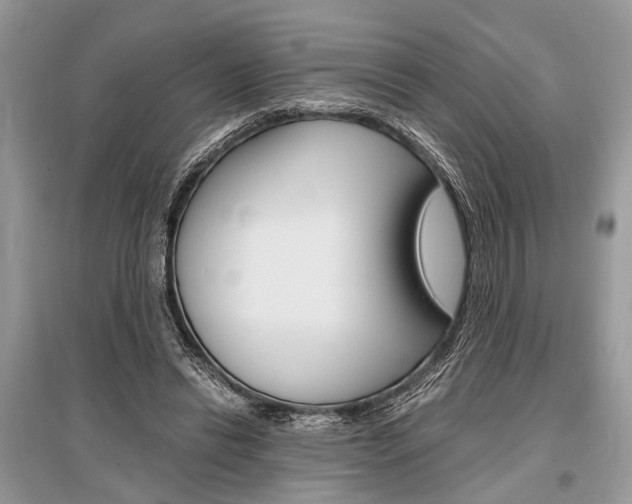 X0000096380446200801241007