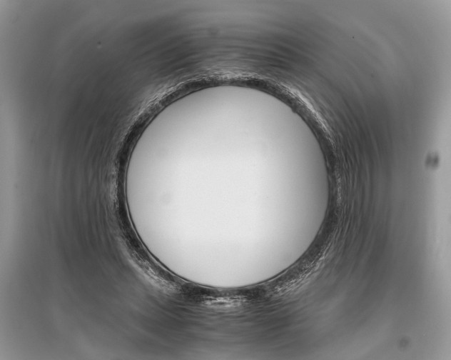 X0000096380447200801241007
