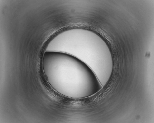 X0000096380448200801241007
