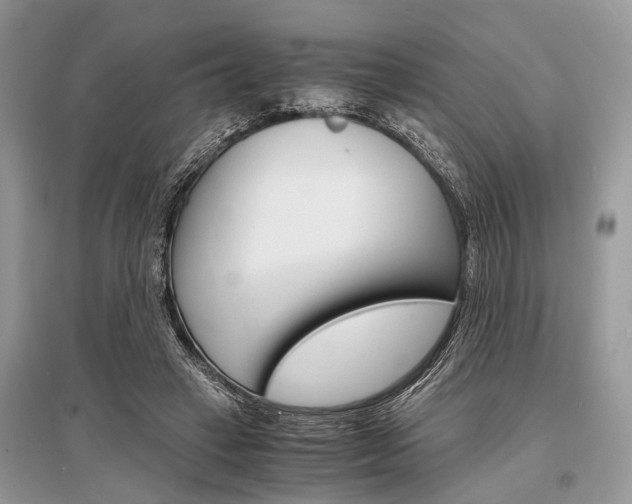 X0000096380449200801241007